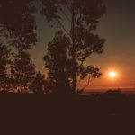 Hypergate Records Psy Trance Label Party