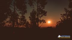 Hypergate Records Psy Trance Label Party