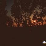 Hypergate Records Psy Trance Label Party