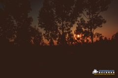 Hypergate Records Psy Trance Label Party