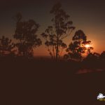 Hypergate Records Psy Trance Label Party