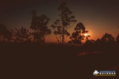 Hypergate Records Psy Trance Label Party